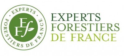Experts-Forestiers-de-France_LOGO-et-TEXTE-400x275